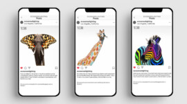 Ecosense Customization Program